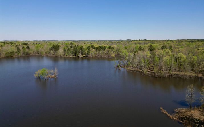 Pictures of Land property located at 18100 Raines Road, Little Rock, AR 72210 for sales - image #1