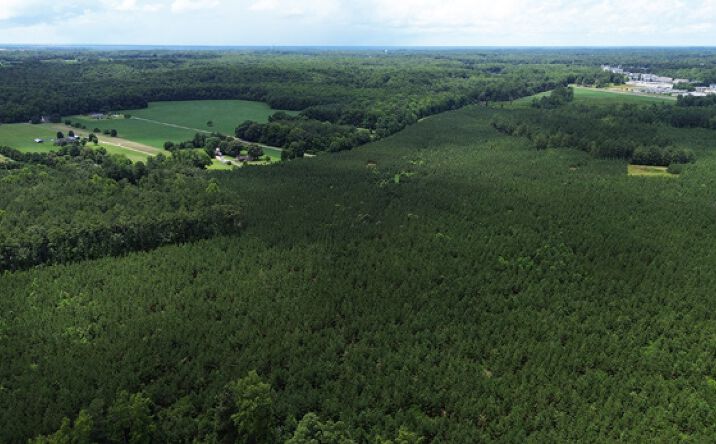 Pictures of Land property located at Mill Rd, Aylett, VA 23009 for sales - image #1