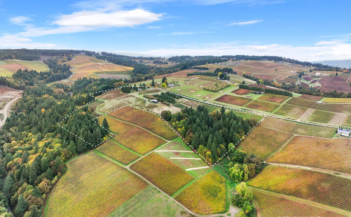 Pictures of Land, Mixed Use property located at 9325 NE WORDEN HILL RD, Dundee, OR 97115 for sales - image #1