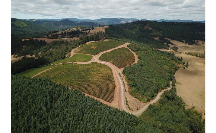 Pictures of Land property located at 17330 SW DUPEE VALLEY RD, Sheridan, OR 97378 for sales - image #1