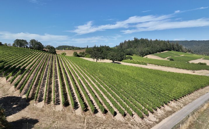 Pictures of Land property located at 7900 NE Oak Springs Farm RD, Carlton, OR 97111 for sales - image #1