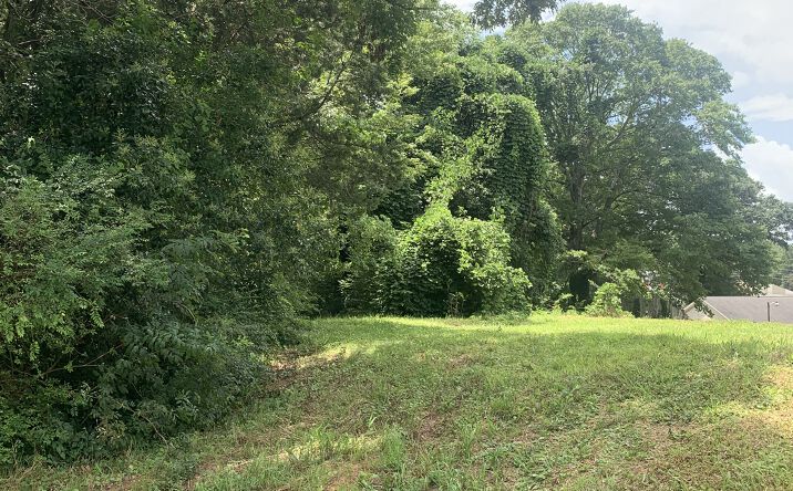 Pictures of Land property located at 121 Hay St, Carrollton, GA 30117 for sales - image #1