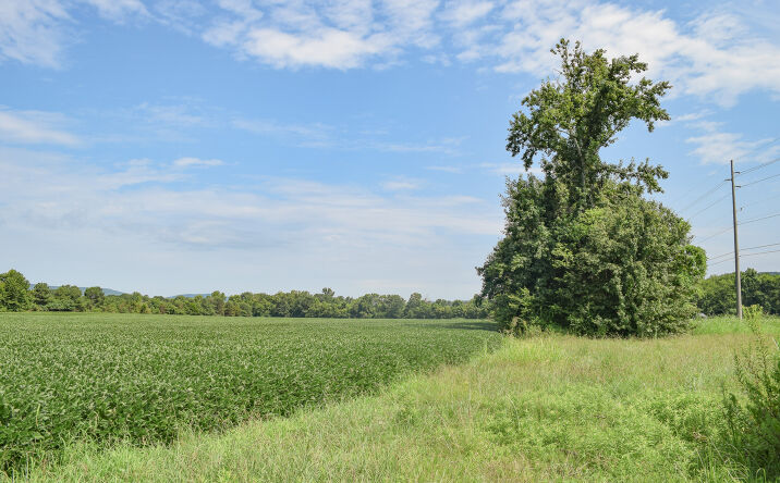 Pictures of Land property located at Wilson Mann Rd and Hwy 431 S, Owens Cross Roads, AL 35763 for sales - image #1