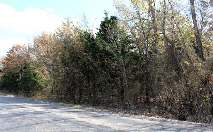 Pictures of Land property located at Red Lake Road, Albany, OK 74726 for sales - image #1