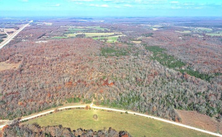 Pictures of Land, Special Purpose property located at SE 500 Road, Collins, MO 64738 for sales - image #1