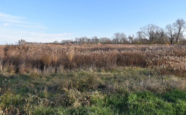 Pictures of Land property located at Rosewood Road NE, Thornville, OH 43076 for sales - image #1