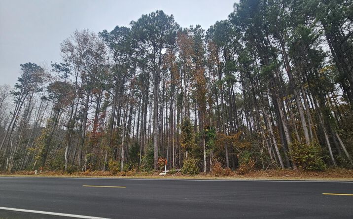 Pictures of Land, Special Purpose, Multifamily property located at Norway Road, Neeses, SC 29107 for sales - image #1