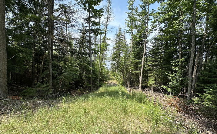 Pictures of Retail, Land property located at Kelley Dr, Ocqueoc, MI 49759 for sales - image #1