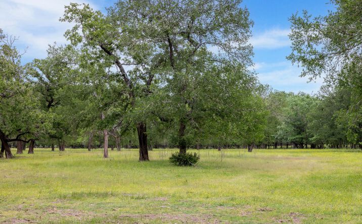 Pictures of Land property located at Sulphur Springs Rd, College Statio, TX 77845 for sales - image #1