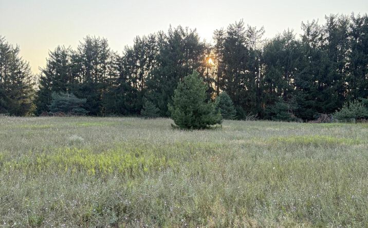 Pictures of Land property located at 518 Classic Dr, Gaylord, MI 49735 for sales - image #1