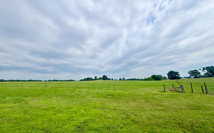 Pictures of Land property located at Lot 62 County Road 2320, Pittsburg, TX 75686 for sales - image #1