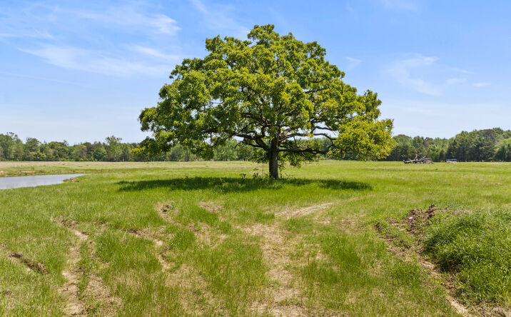 Pictures of Land, Mixed Use property located at Lot A County Road 3324, Pittsburg, TX 75686 for sales - image #1