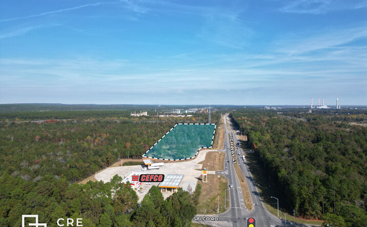 Pictures of Land, Retail property located at US-43, Axis, AL 36605 for sales - image #1