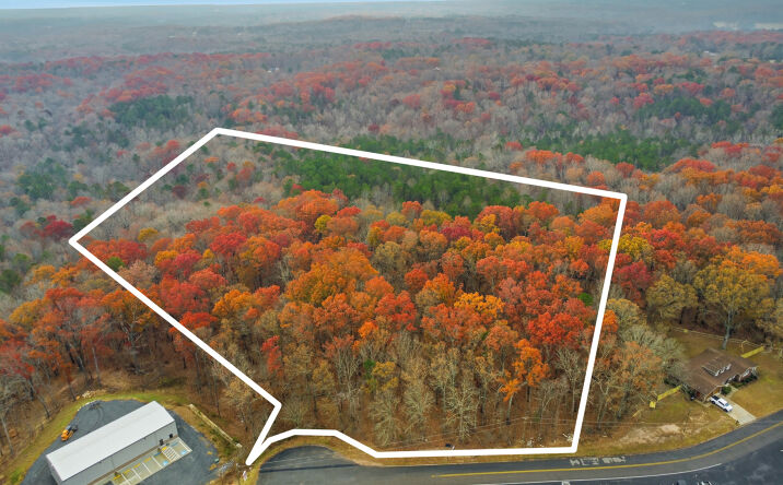 Pictures of Land property located at 0 Hogan Pond Ln, Ball Ground, GA 30107 for sales - image #1