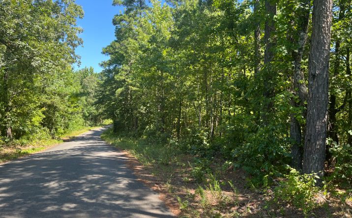 Pictures of Land property located at TBD Dallas 301  Carthage, Arkansas USA, Carthage, AR 71725 for sales - image #1