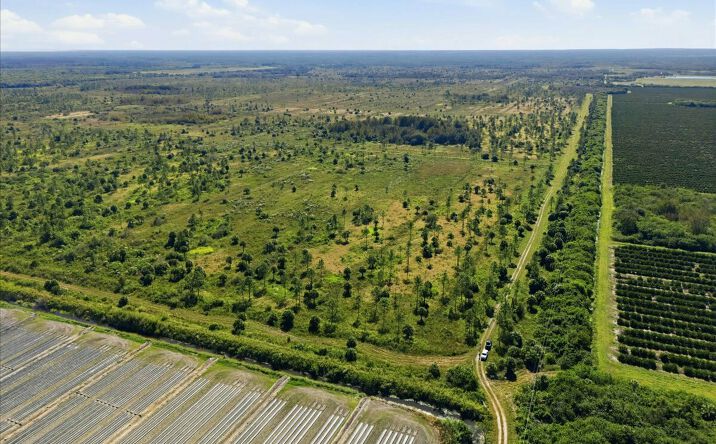 Pictures of Land property located at 22305 Shoults Gr, Immokalee, FL 34142 for sales - image #1