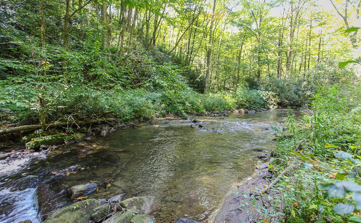 Pictures of Land property located at 9765 Little Snowbird Rd, Robbinsville, NC 28771 for sales - image #1