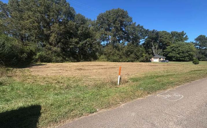 Pictures of Land property located at Sanderson Lane, North Courtland, AL 35618 for sales - image #1