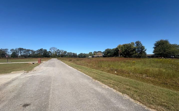 Pictures of Land property located at Button St, North Courtland, AL 35618 for sales - image #1