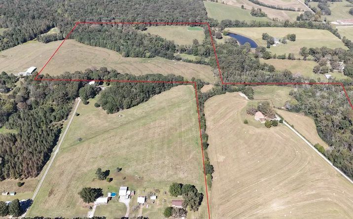 Pictures of Land property located at 775 Boys Ranch Road, Danville, AL 35619 for sales - image #1