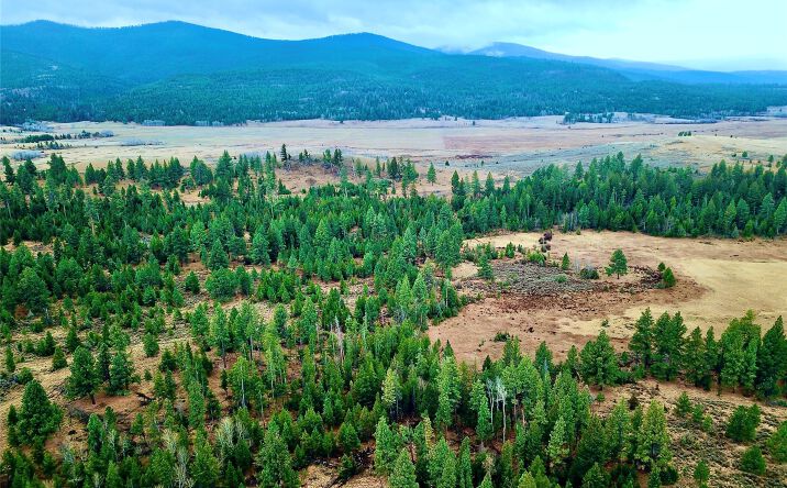 Pictures of Land property located at Strandskov Road, Lincoln, MT 59639 for sales - image #1