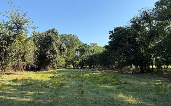 Pictures of Land property located at TBD W Jeter Road, Argyle, TX 76226 for sales - image #1
