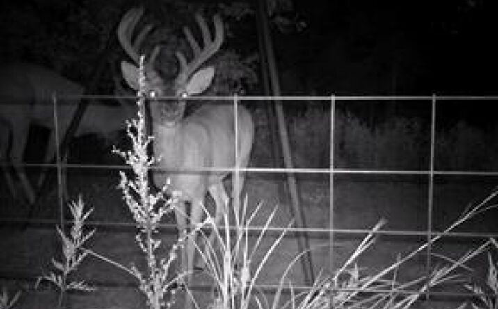 Pictures of Land property located at 1690 Jim Ned Rd, Montague, TX 76251 for sales - image #1