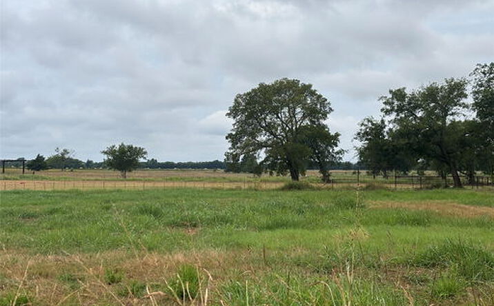 Pictures of Land property located at 264 Payne Rd, Saint Jo, TX 76265 for sales - image #1