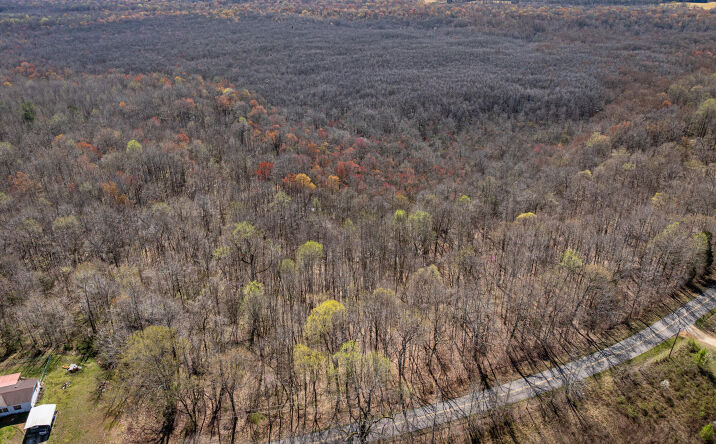 Pictures of Land property located at 4489 Spring Creek Road, Lavinia, TN 38348 for sales - image #1