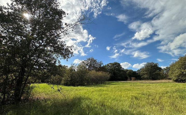 Pictures of Land property located at 230 Blackjack Pkwy, Nocona, TX 76255 for sales - image #1