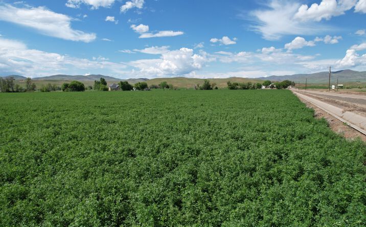 Pictures of Land property located at Olds Ferry Rd, Weiser, ID 83672 for sales - image #1