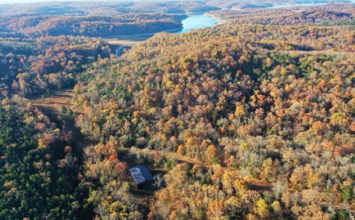 Pictures of Land property located at TBD Chappie Lane, Henderson, AR 72544 for sales - image #1