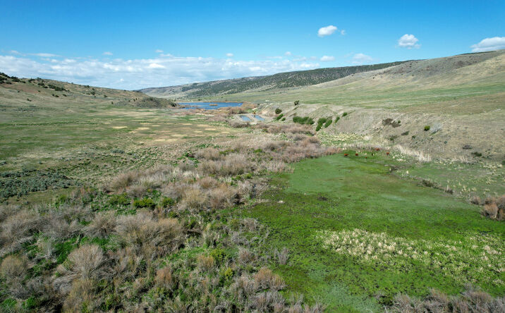Pictures of Land property located at Marsh Creek Rd, Albion, ID 83311 for sales - image #1