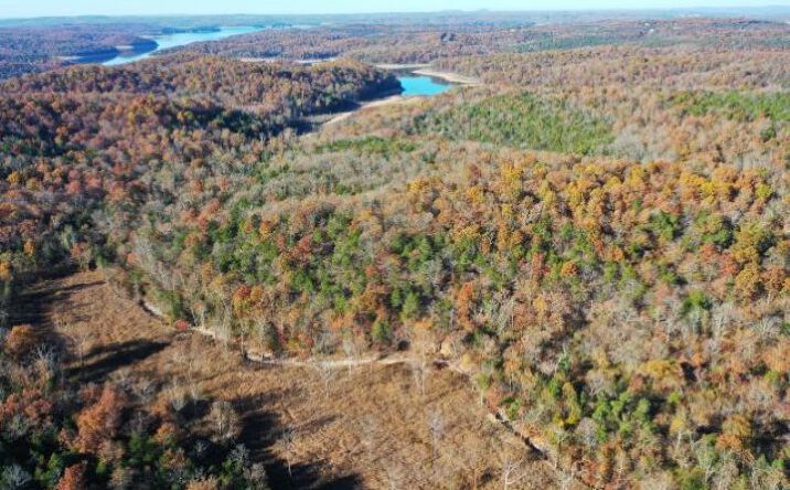Pictures of Land property located at 000 Chappie Lane, Henderson, AR 72544 for sales - image #1