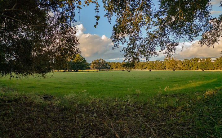 Pictures of Land property located at SW 80th St, Trenton, FL 32693 for sales - image #1