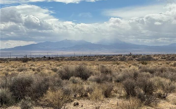 Pictures of Land property located at 0000 Calle Parral, Kingman, AZ 86409 for sales - image #1