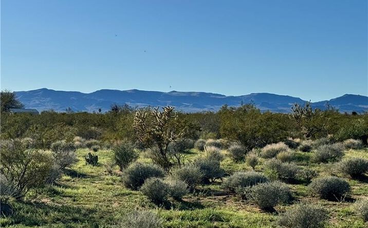 Pictures of Land property located at 10 AC Colorado Rd, Golden Valley, AZ 86413 for sales - image #1