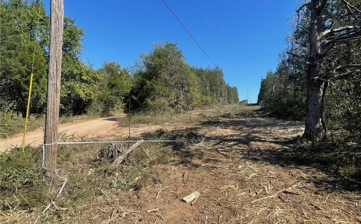 Pictures of Land property located at 427 Co Rd 238, Berryville, AR 72616 for sales - image #1
