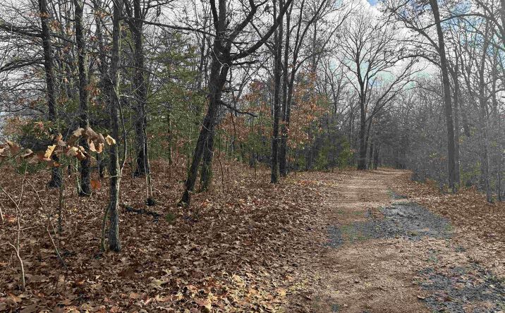 Pictures of Land, Special Purpose property located at 24978 Highway H, Lincoln, MO 65338 for sales - image #1