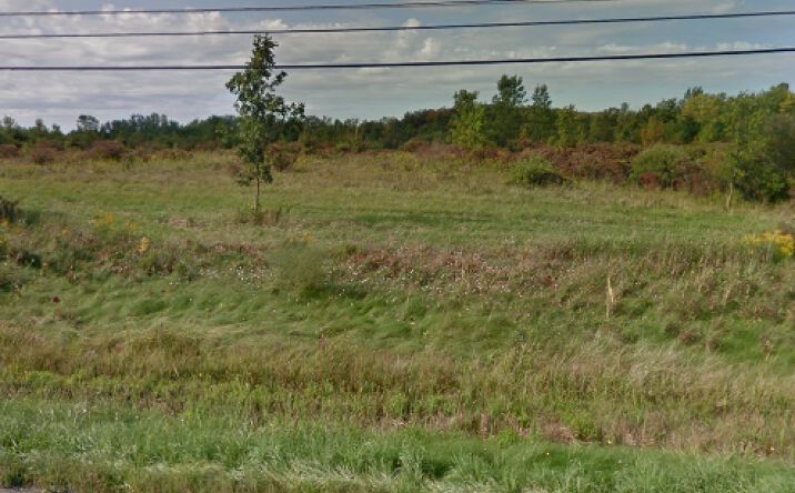 Pictures of Land property located at 3731 Pearl Street Road, Batavia, NY 14020 for sales - image #1