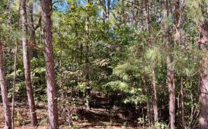 Pictures of Land property located at K-18 Colin Reeds Road, North Augusta, SC 29860 for sales - image #1