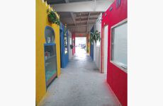 11487312