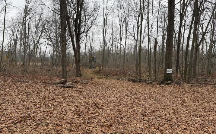 Pictures of Land property located at Burtch Road, Grass Lake, MI 49240 for sales - image #1