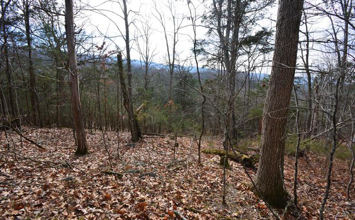Pictures of Land, Multifamily property located at TBD Hickory Drive, Pounding Mill, VA 24637 for sales - image #1