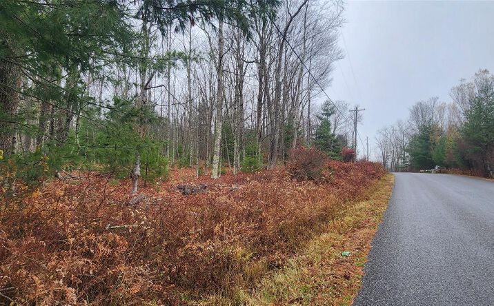 Pictures of Land, Special Purpose property located at Thompson Road, Thompson, NY 12784 for sales - image #1