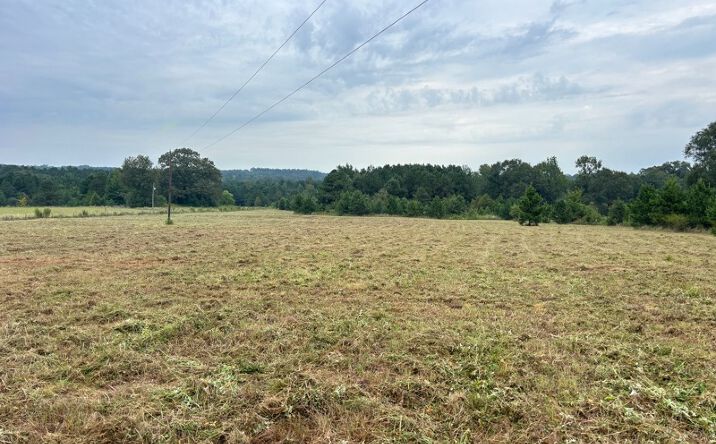 Pictures of Land property located at TBD 12.9 CR 1243, Linden, TX 75563 for sales - image #1
