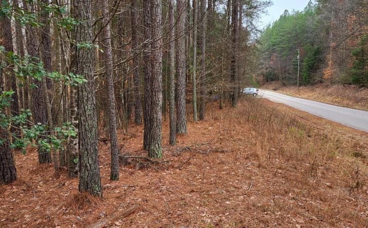 Pictures of Land property located at 461 Cowford Bridge Rd, Spartanburg, SC 29302 for sales - image #1