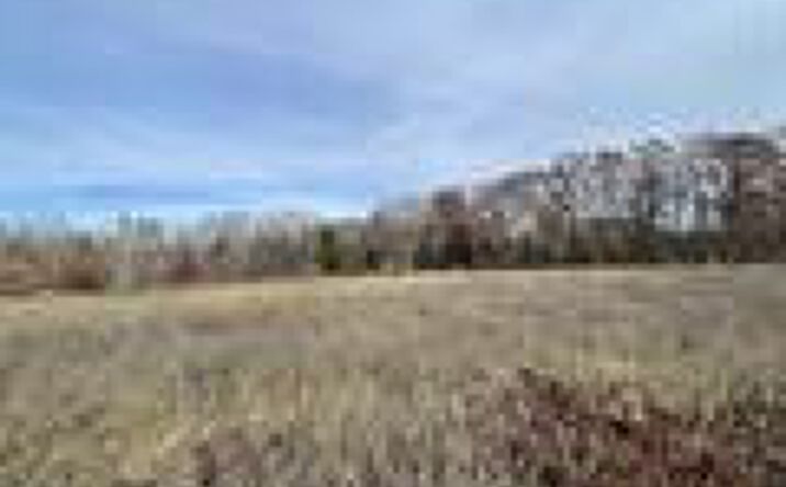 Pictures of Land property located at NHN N Clare Avenue, Harrison, MI 48625 for sales - image #1