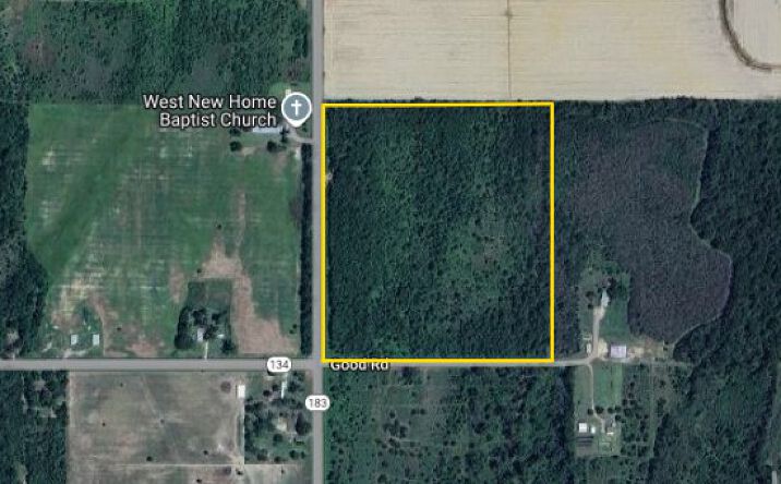 Pictures of Land property located at 0 Holly Ridge Rd., Rayville, LA 71269 for sales - image #1