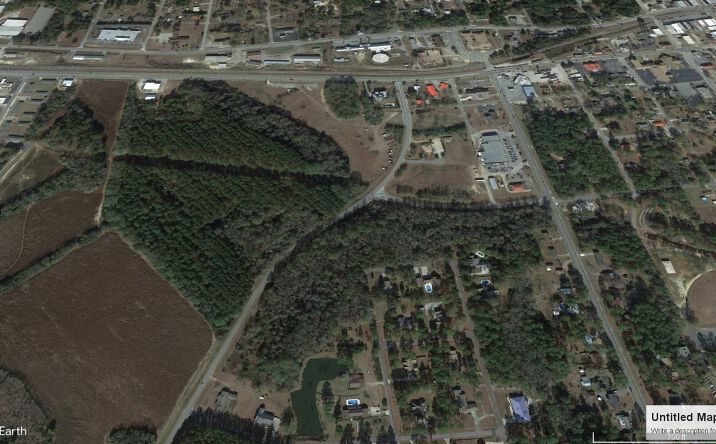 Pictures of Land property located at US 280 and Bulldog Road, Lyons, GA 30436 for sales - image #1